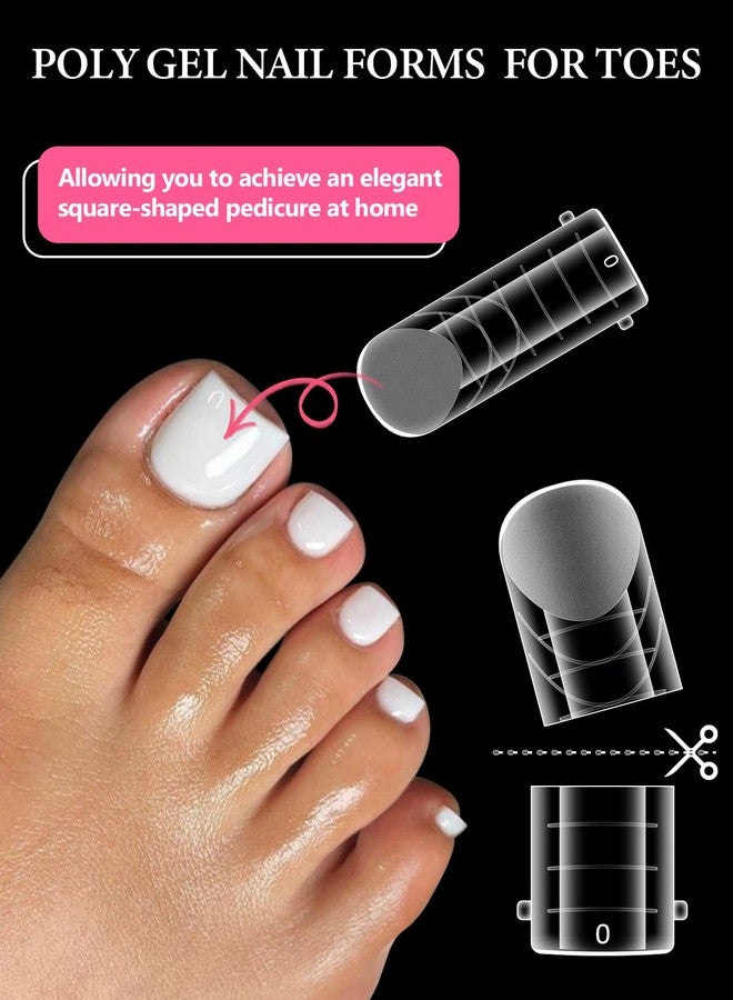 EBANKU Poly Gel Toe Nail Form, Reusable Toenails Dual Forms for Builder Nail Extensions, Poly Gel Toe Nail Tips Set with Dual-Ended Brush and Nail File, 5PCS Clips - 12 Sizes 120PCS - Image 2